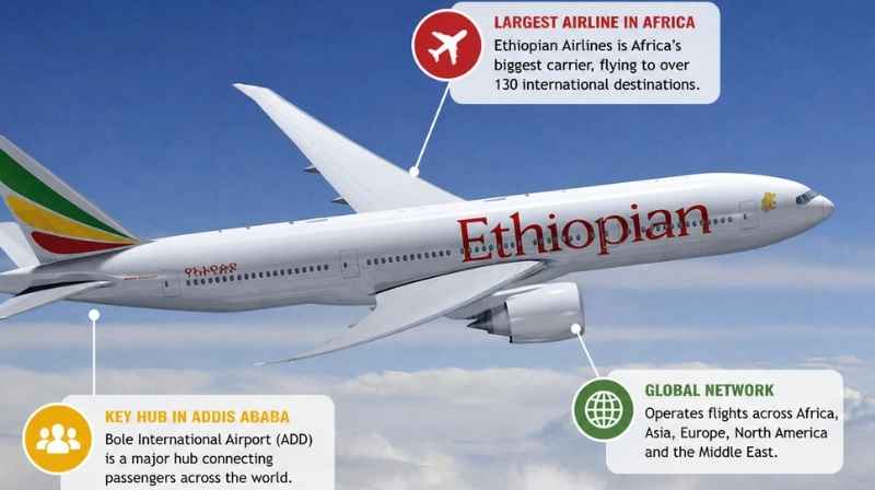 Ethiopian Airlines Crash: 32 Kenyan Families Set for Sh11.3 Billion Boeing Payout Ethiopian Airlines aircraft with facts about its Addis Ababa hub and international flight network